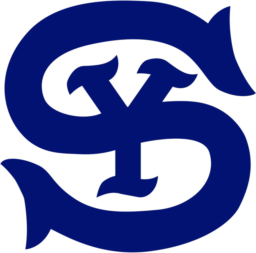 Switch Yards logo blue